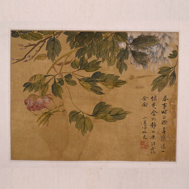 杂画页(十三开)