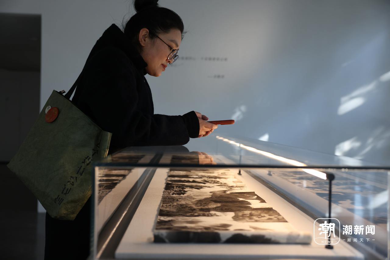 潘云鹤、许江、王冬龄西湖边打卡“山魂”画展