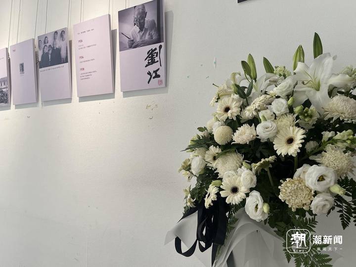 追忆会的第一天,刘江艺术馆里的小白花:他没有离开我们