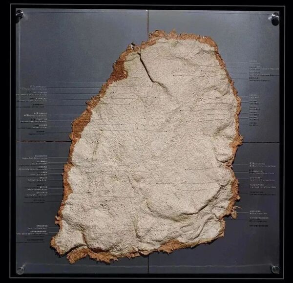 似画非画!这门艺术被誉为“浙江现象”