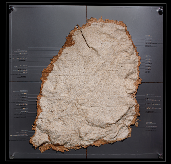 活水渠长——浙江省综合艺术十年实践展