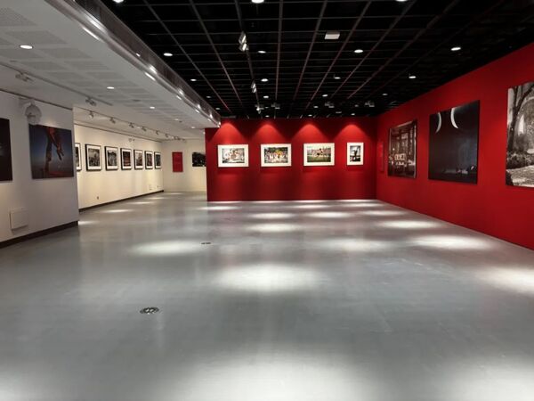 难得一见!浙江8位中国摄影金像奖获得者作品集中亮相浙江展览馆